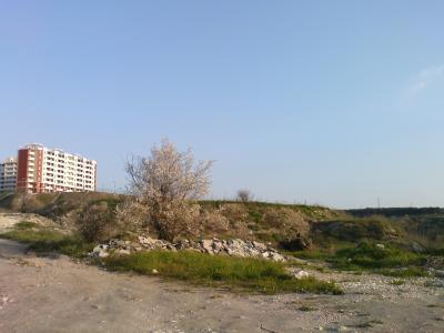 Прикрепленное изображение: 1.jpg